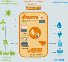 Модульная биобатарея превращает широкий спектр биомасс в энергию