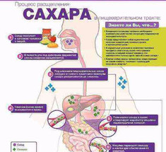 О пользе и вреде сахара: НАГЛЯДНО