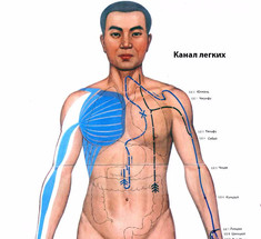 Канал лёгких: ­ВЕЛИКИЙ Инь