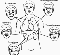 Пять Элементов и эмоции