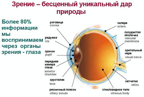 Эфффективные упражнения для улучшения зрения