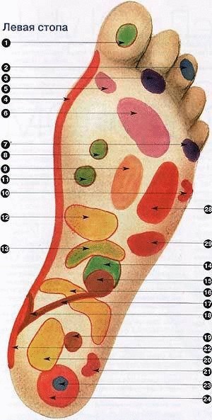 Как правильно массировать стопы