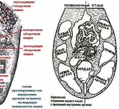 Проверьте себя! Язык расскажет о проблемах в организме