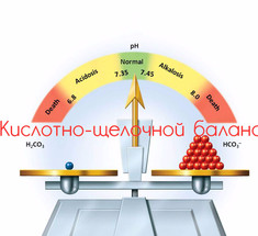 Кислотно-щелочной баланс: Список продуктов по уровню кислотности