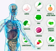 10 супер продуктов, которые помогут уморить раковые клетки 