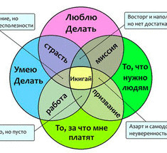 Как найти свой икигай