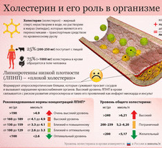 Миф о холестерине — крупнейший  обман ХХ века