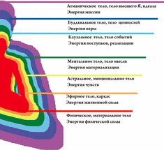 Семь тел человека