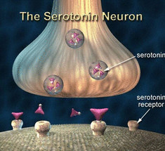  Гормон радости: ВСЕ, что Вы не знали о серотонине