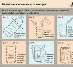 Безопасная ловушка для комаров своими руками