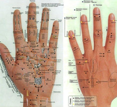 Активные точки и энергетические каналы органов на руках