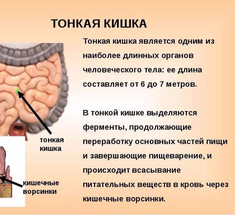 Синдром «текущей кишки» — одна из причин гормонального дисбаланса