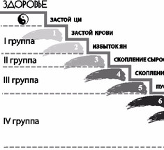  9 конституциональных типов: оценка уровня здоровья человека