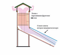 Солнечный дегидратор: сушилка для плодов на солнечной энергии