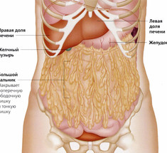 Выключатель жира