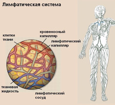 Нарушения лимфосистемы — это ВАЖНО знать ВСЕМ!