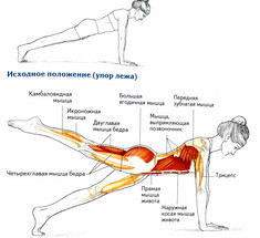 5 упражнений, которые укрепят низ спины и подтянут ягодицы