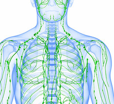 Как улучшить работу лимфатической системы