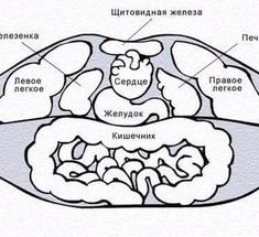  Диагностика по губам: о чем могут рассказать Ваши губы