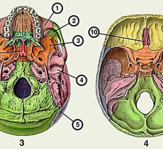 Нехирургические методики лечения хронических ЛОР-заболеваний