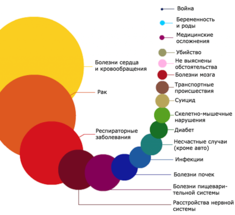 Самые частые причины смерти в одной картинке