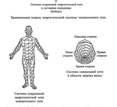 Спиральная гимнастика — удивительное оздоровление всего организма