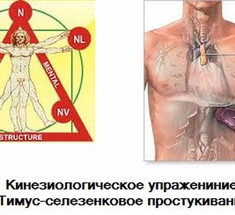 Тимус-селезенковое простукивание — кинезиологическое упражнение для поднятия иммунитета 