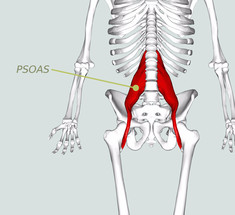 Как невидимая глазу поясничная мышца влияет на всё тело