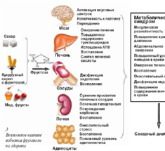 Фруктоза, которую вы не едите: что нужно знать, чтобы не навредить здоровью