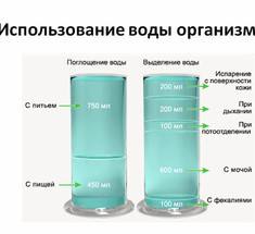 Аквалифтинг: омоложение кожи и всего организма