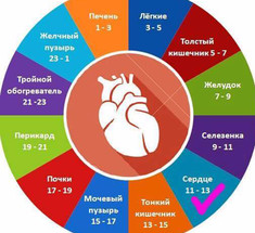 Часы "У-ШИ" 11:00–13:00 — отдых для сердца