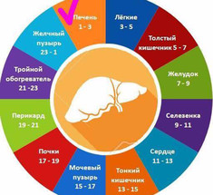 Как оздоровить вашу ПЕЧЕНЬ: 01.00-03.00 часы "Чоу-ши"