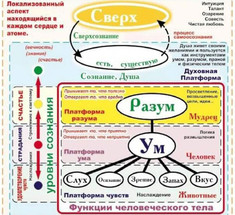 Чем отличается УМ от РАЗУМА