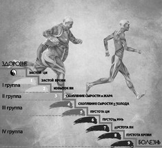 9 конституциональных типов китайской медицины