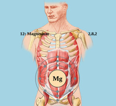 МАГНИЙ: 5 причин дефицита и способы его преодоления