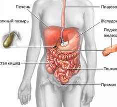 Желчный пузырь и Печень: Упражнения восточной медицины