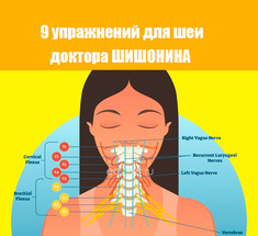 Как навсегда забыть о высоком давлении: 9 упражнений доктора ШИШОНИНА