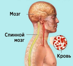 Дефицит B12: 8 распространенных признаков  