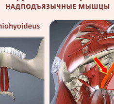 СУПЕР комплекс упражнений для ШЕИ