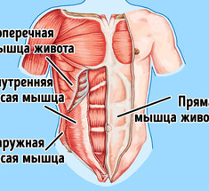 5 упражнений, из-за которых вы кажетесь полнее