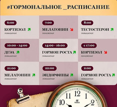 Гормональное расписание: Подсказки организма