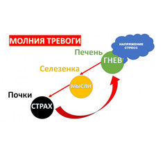 Тревога: Главная причина сидит у вас в печёнках