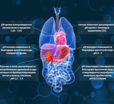 Как кислотно-щелочной баланс влияет на вирусы