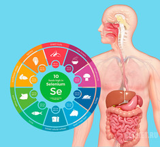 Селен: идеальная дозировка