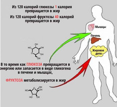 Фруктоза – самый сладкий и самый вредный сахар