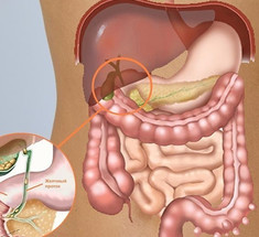 Боль в правом подреберье может указывать на дискинезию