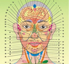  Что каждый может узнать о себе по лицу - проекционные зоны по Огулову А.Т.