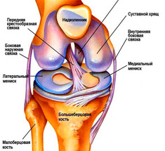 ПОЛЕЗНАЯ информация: травмы коленного сустава— народные методы лечения