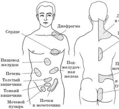 Зоны Захарьина-Геда: связь внутренних органов человека с определенными участками кожи