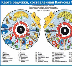 Что стоит за цветом ваших глаз